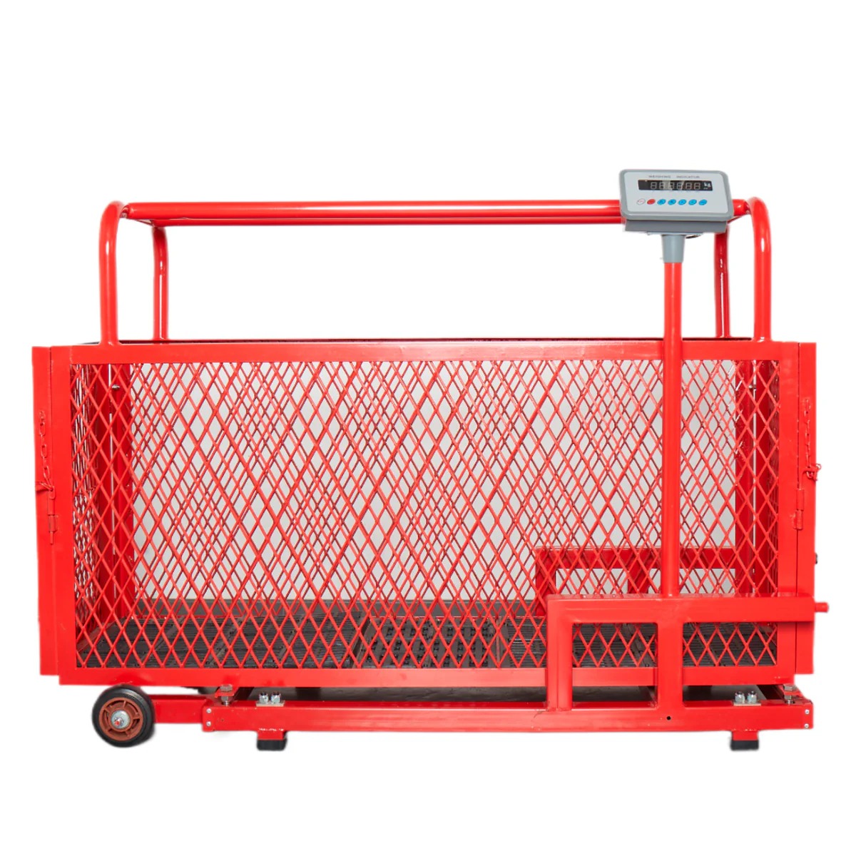 Báscula porcina maya metálica